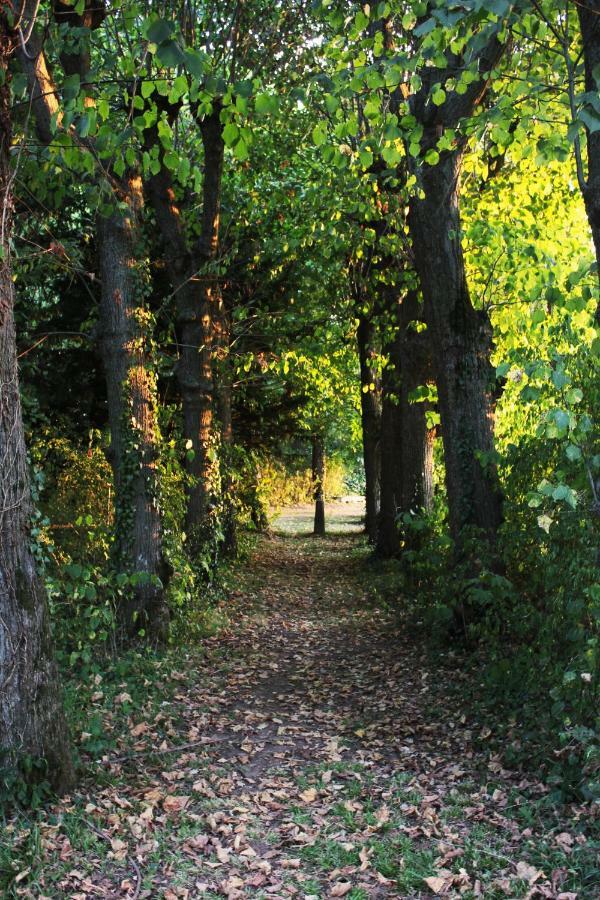 Domaine Des Lilas Saint-Germain-Lembron Zewnętrze zdjęcie